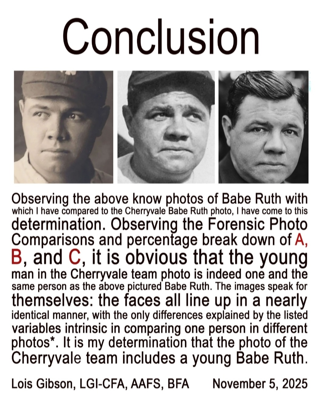 Lois Gibson conclusion